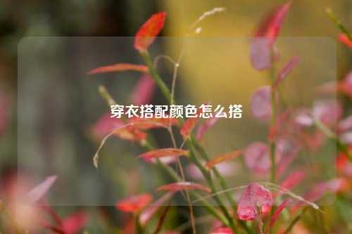 穿衣搭配颜色怎么搭
