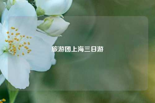 旅游团上海三日游
